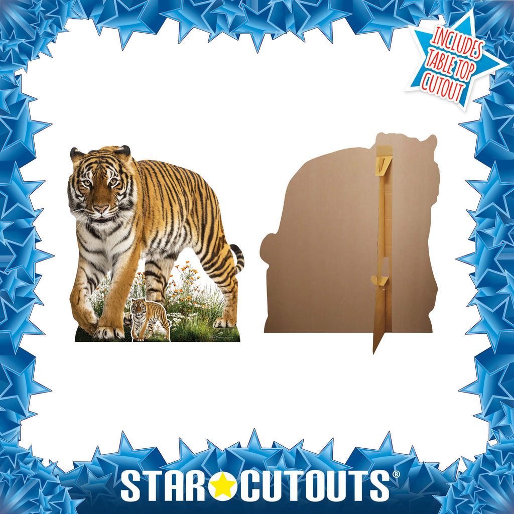 SC4854 Wild Tiger Prowling Cardboard Cutout Height 93cm – product image 5