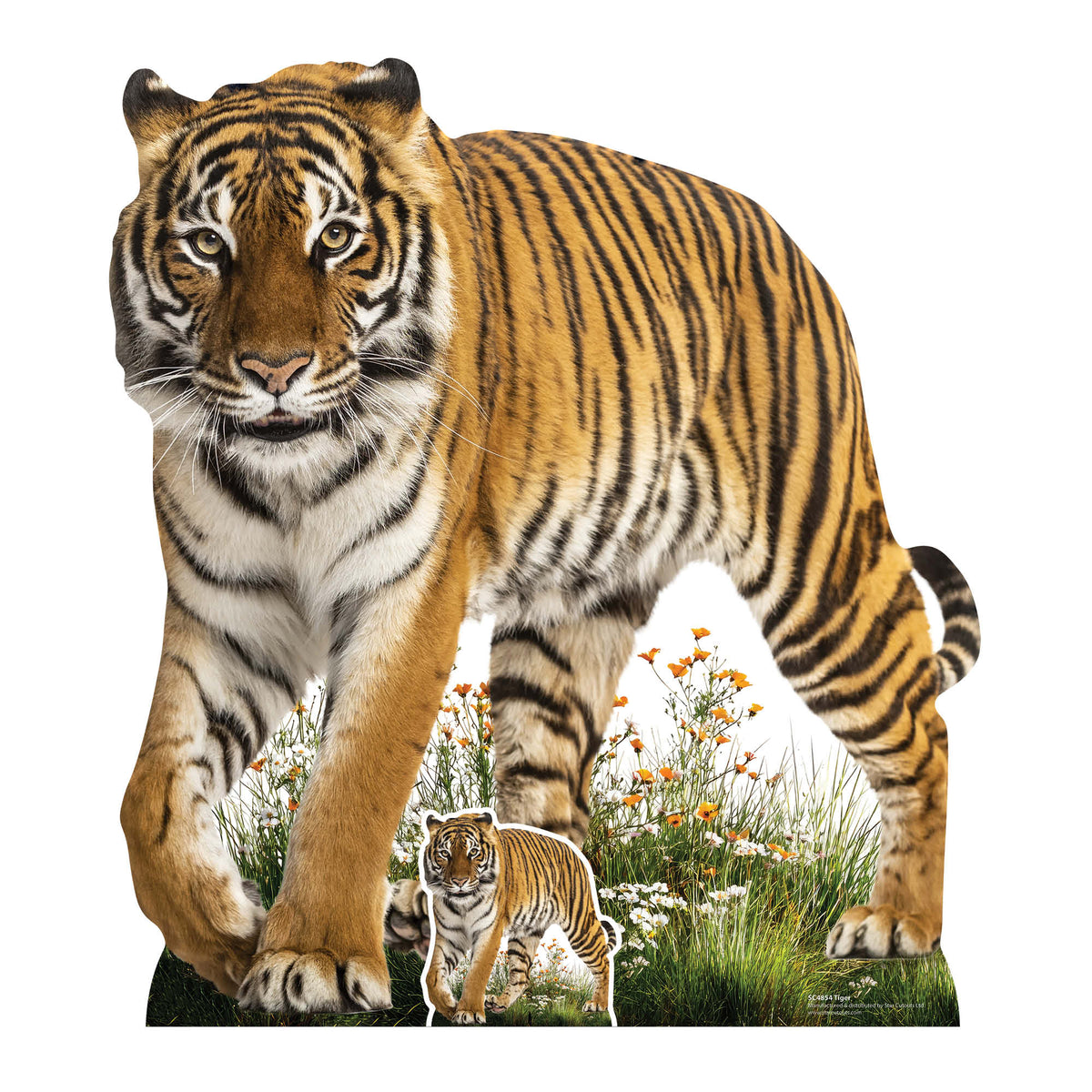 SC4854 Wild Tiger Prowling Cardboard Cutout Height 93cm – product image 1