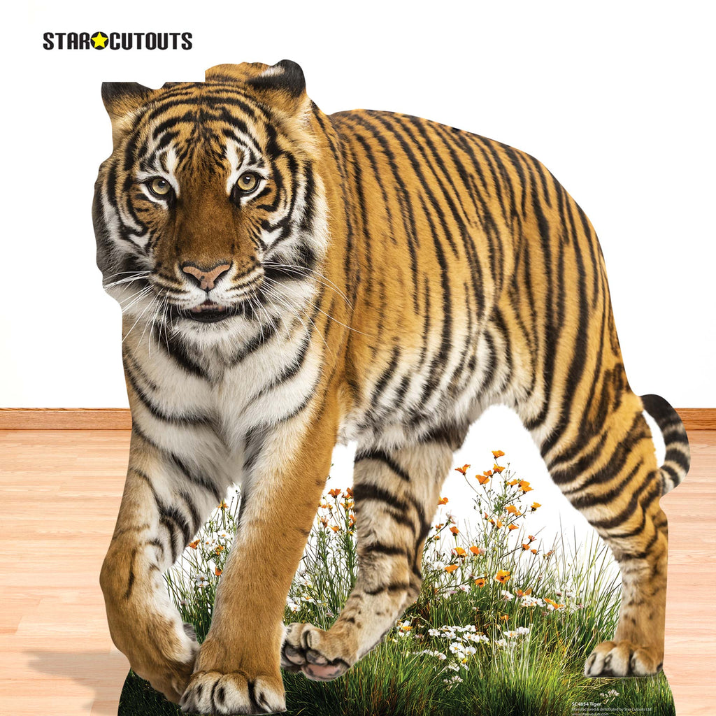 SC4854 Wild Tiger Prowling Cardboard Cutout Height 93cm – product image 4