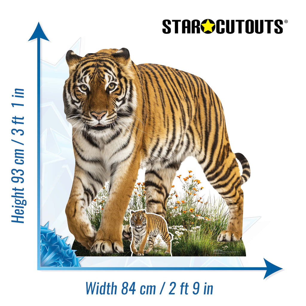SC4854 Wild Tiger Prowling Cardboard Cutout Height 93cm – product image 2