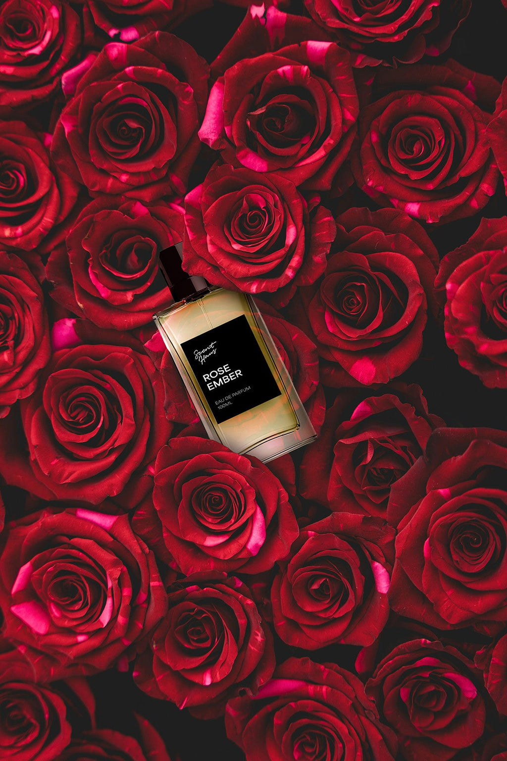 Rose Ember Inspired by - Halfeti – product image 6