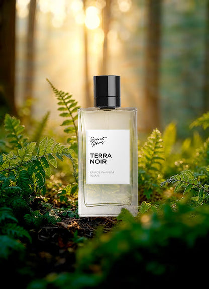 Terra Noir