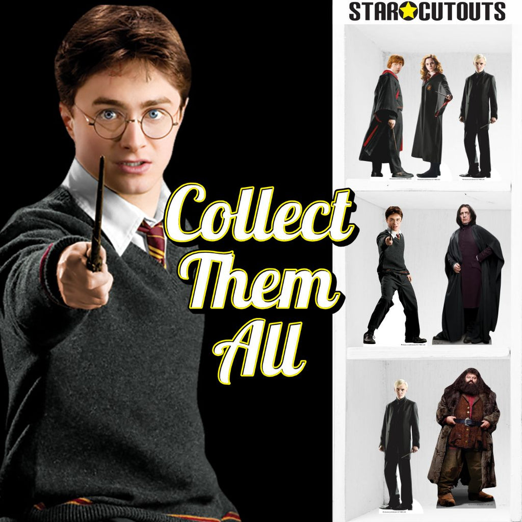 SC4739 Harry Potter, Hermione Granger & Ron Weasley Shelf Top Pack Cardboard Cutouts Height 31cm – product image 5
