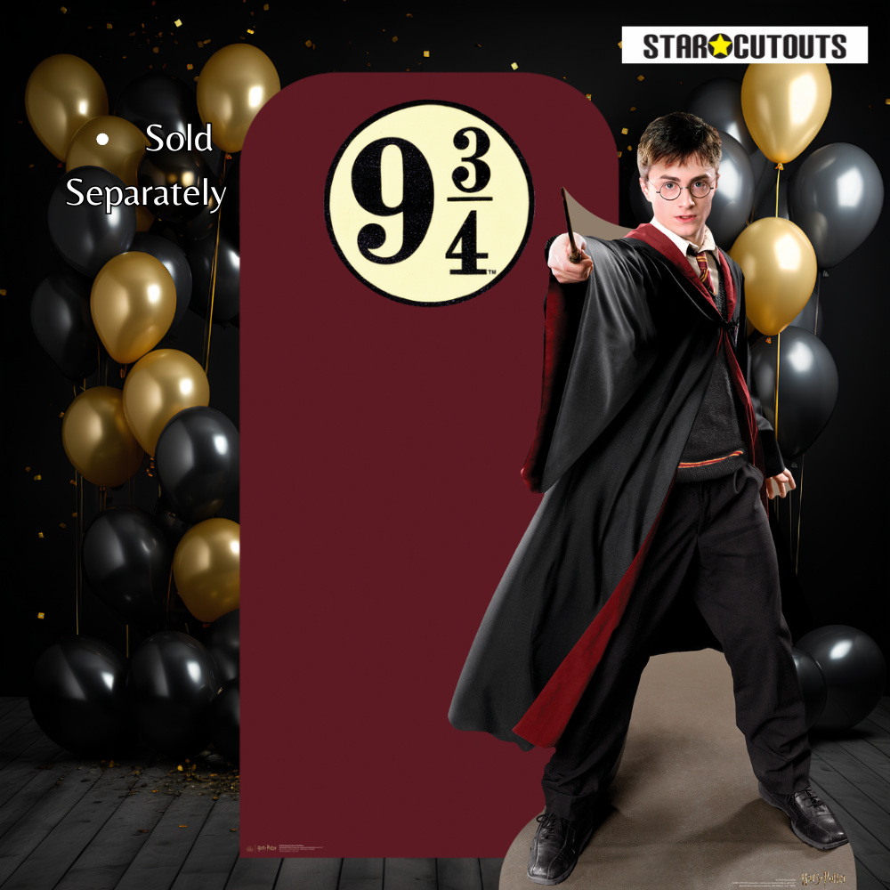 SC1478 Harry Potter Quidditch Captain Cardboard Cutout Height 170cm