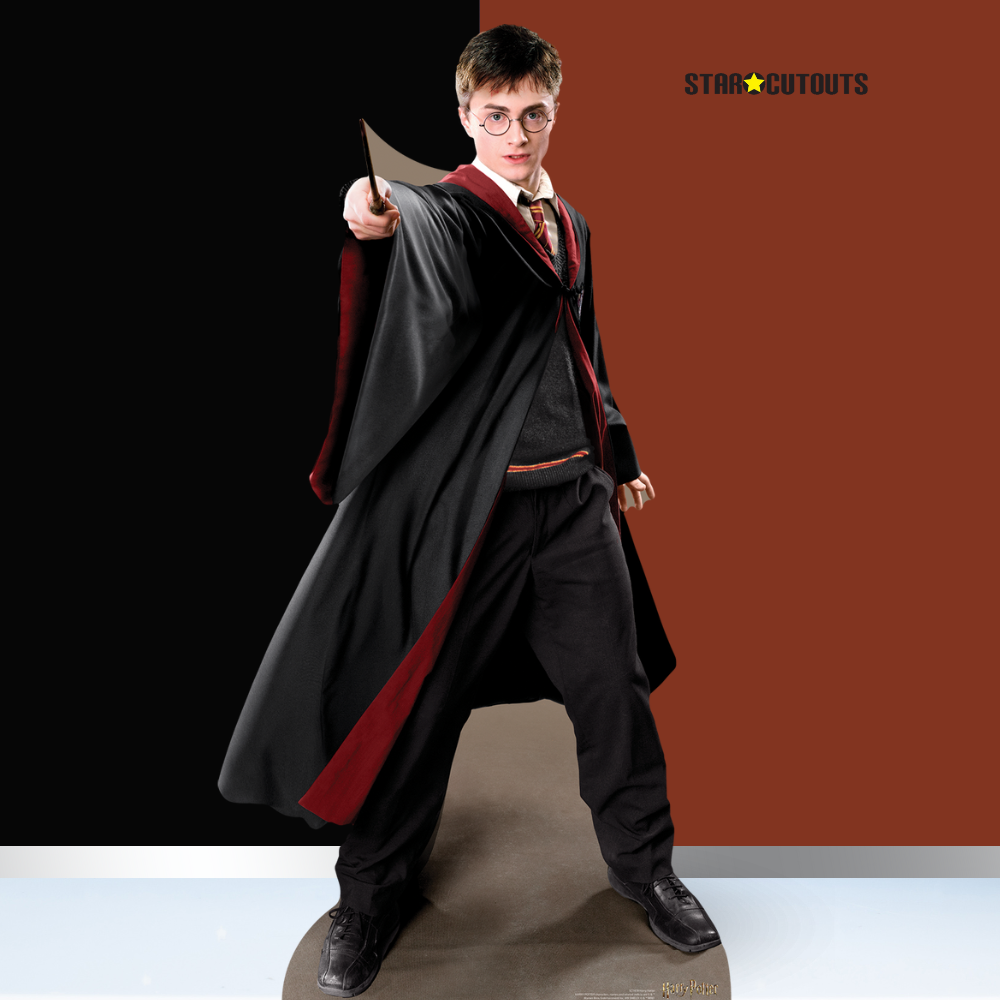 SC1478 Harry Potter Quidditch Captain Cardboard Cutout Height 170cm