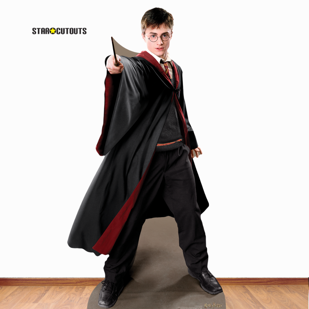 SC1478 Harry Potter Quidditch Captain Cardboard Cutout Height 170cm