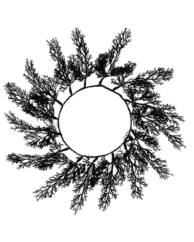 Black Foliage Placemats (4pk)