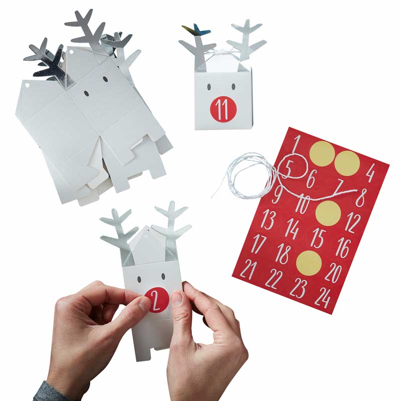 Reindeer Christmas Advent Calendar Boxes (24pk)
