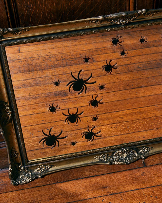 Spider Window Clings