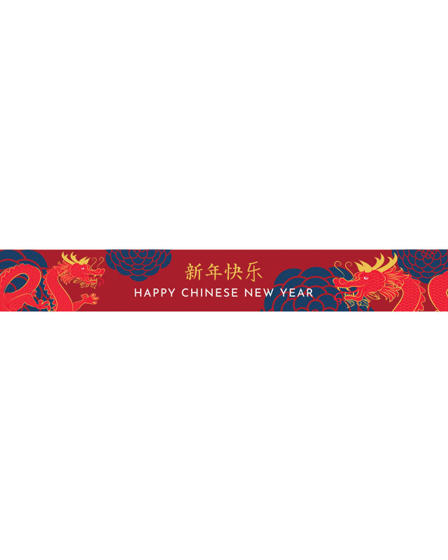Year of the Dragon Chinese New Year 2024 Banners - 1m (3pk)