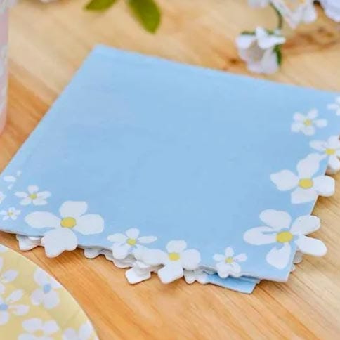 Summer themed napkins and plates 