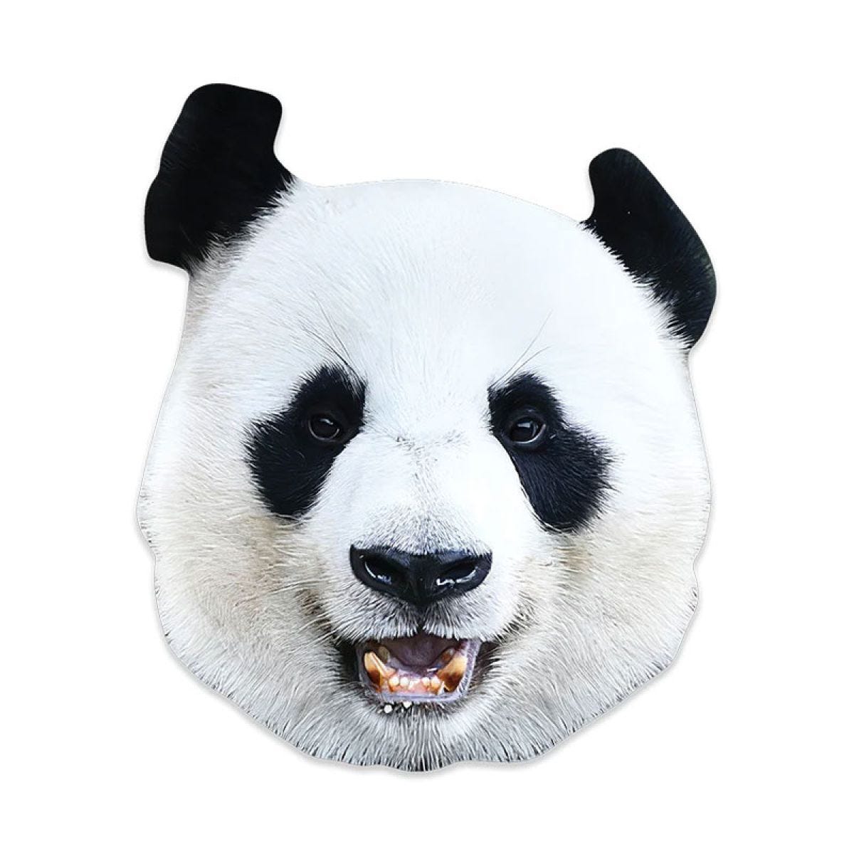 Panda Cardboard Mask