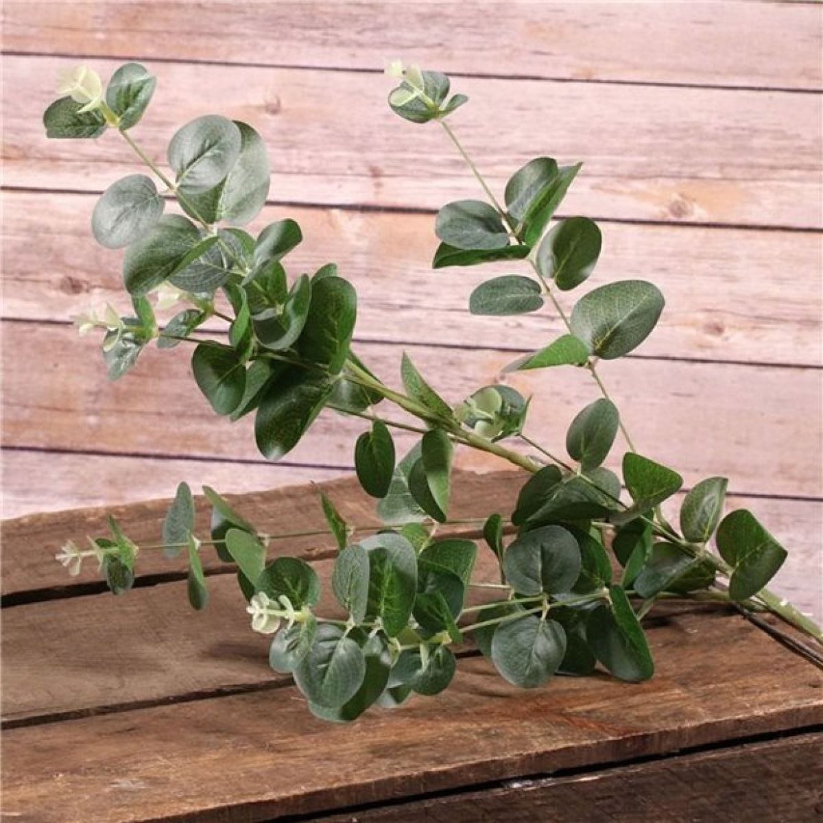 Green Eucalyptus Spray - 90cm