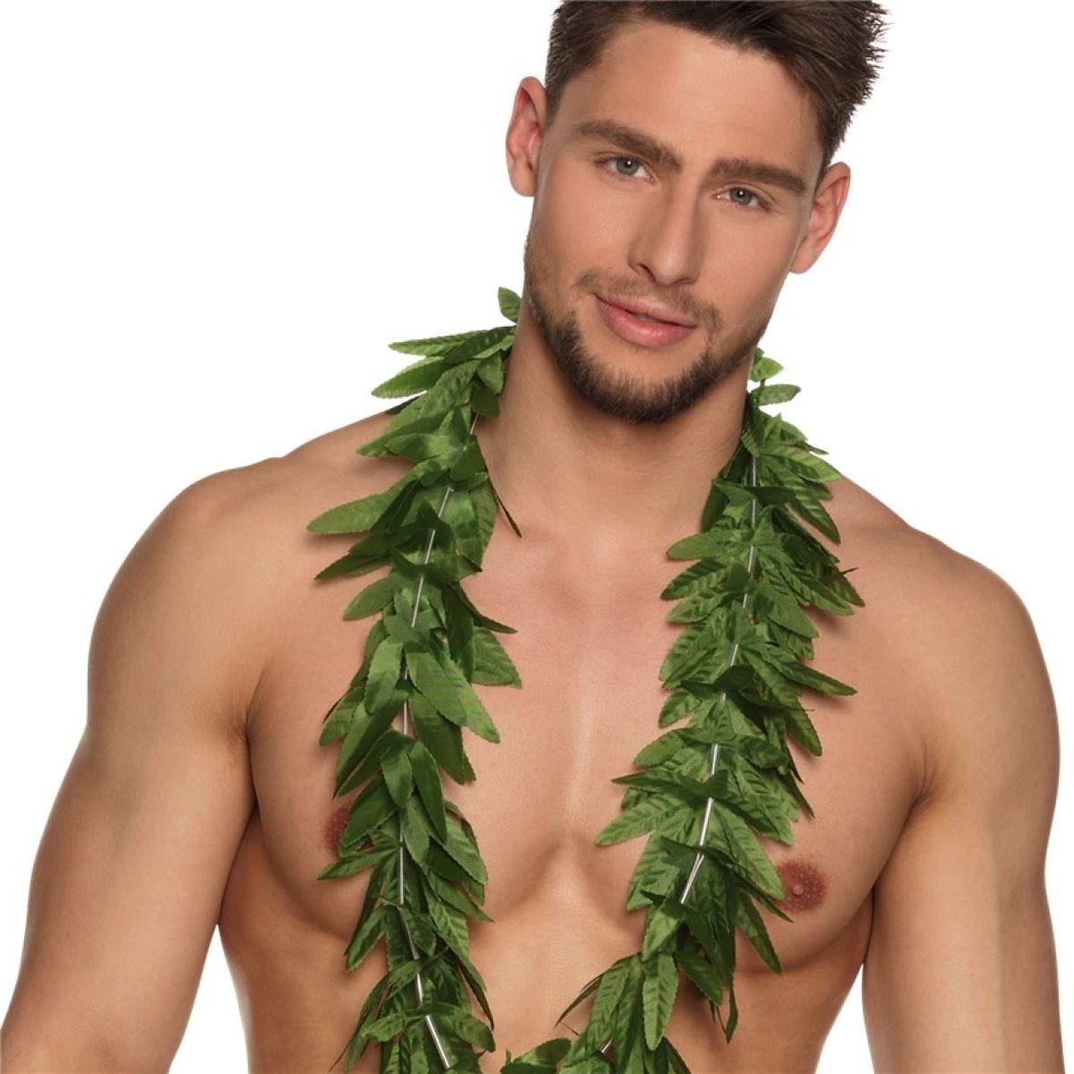 Hawaii Hawaiian Lei