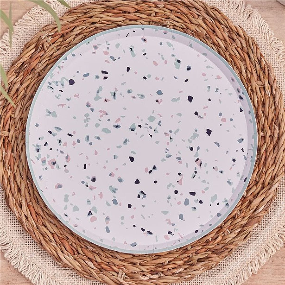 Mix It Up Mint Terrazzo Eco Paper Plates - 25cm (8pk)