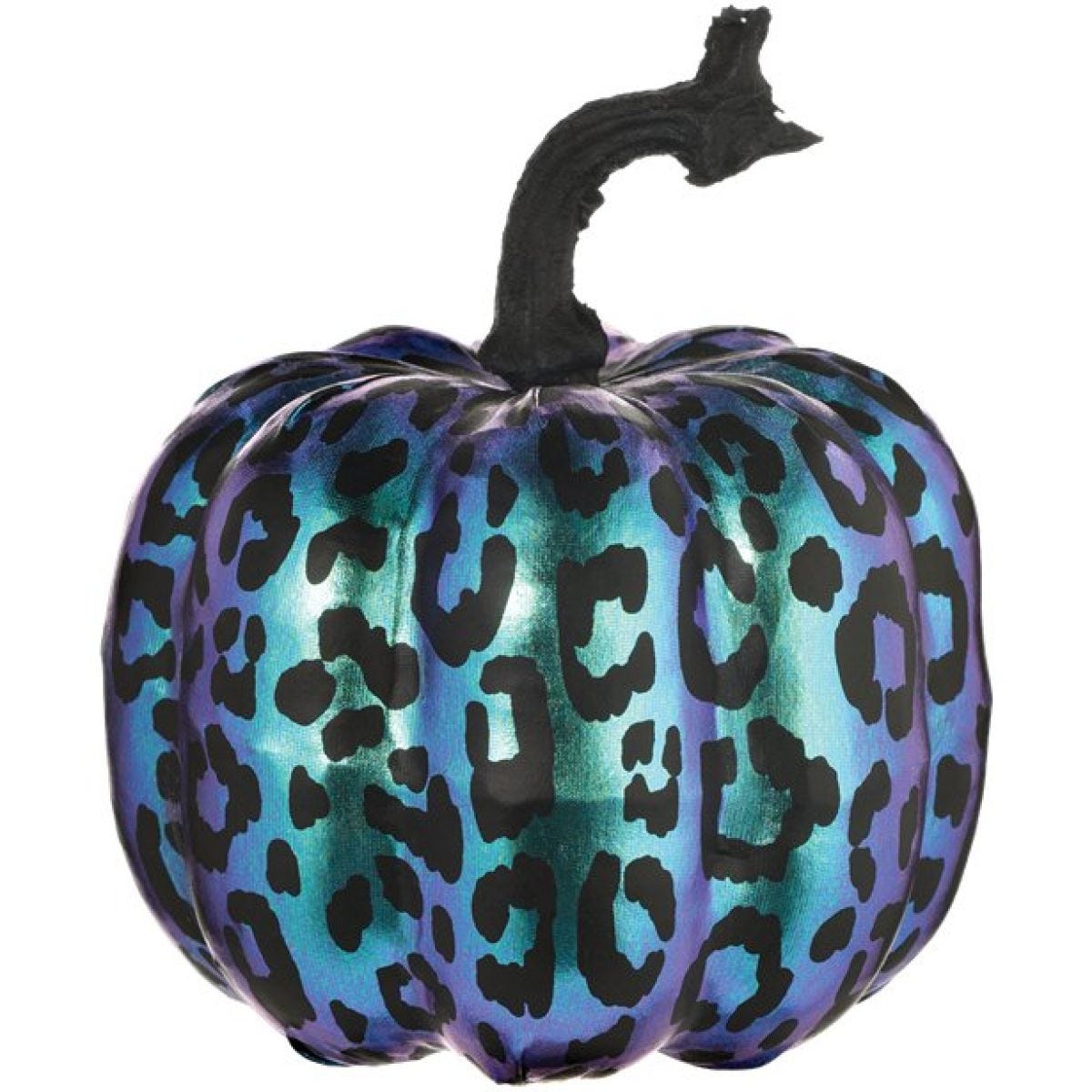 Purple Midnight Pumpkin - 17.5cm