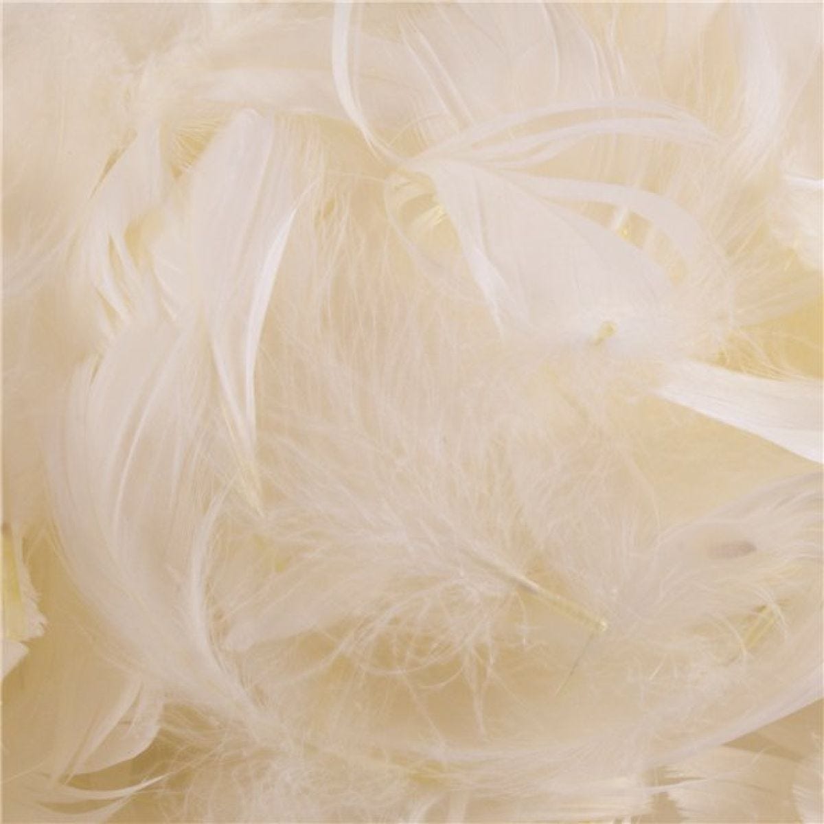 Ivory Decorative Feathers - 50g