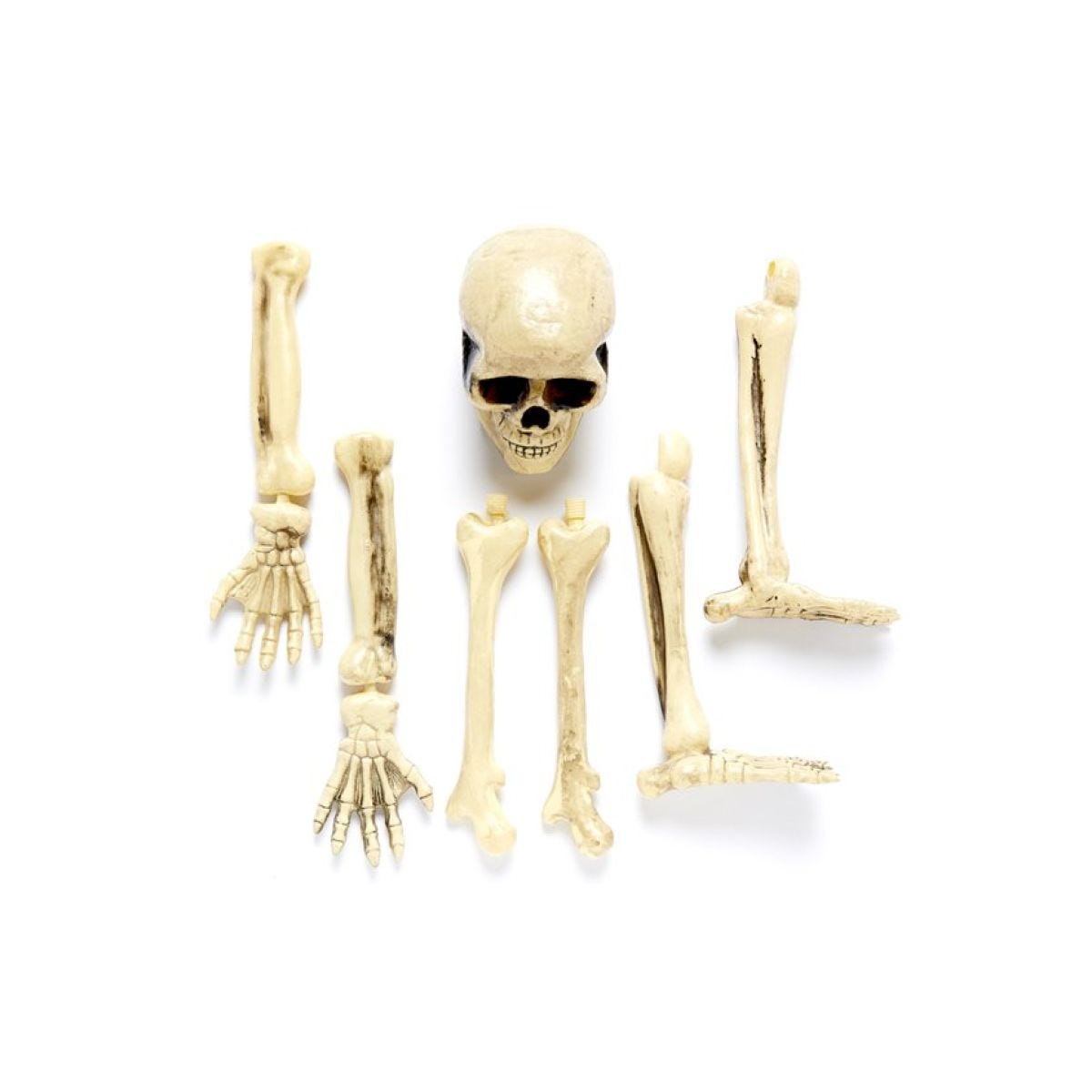 3D Skeleton Groundbreaker