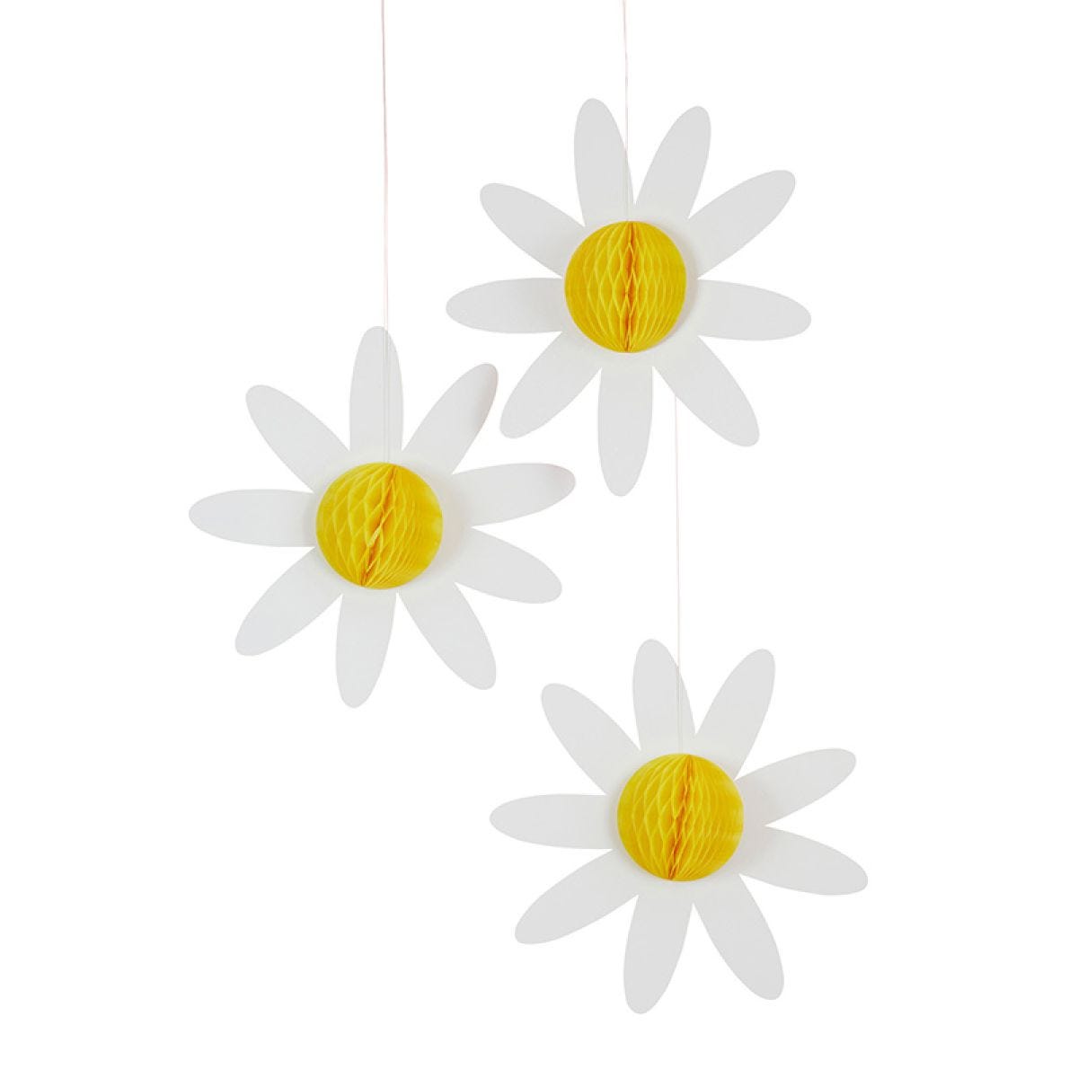 Daisy Honeycomb (3pk)