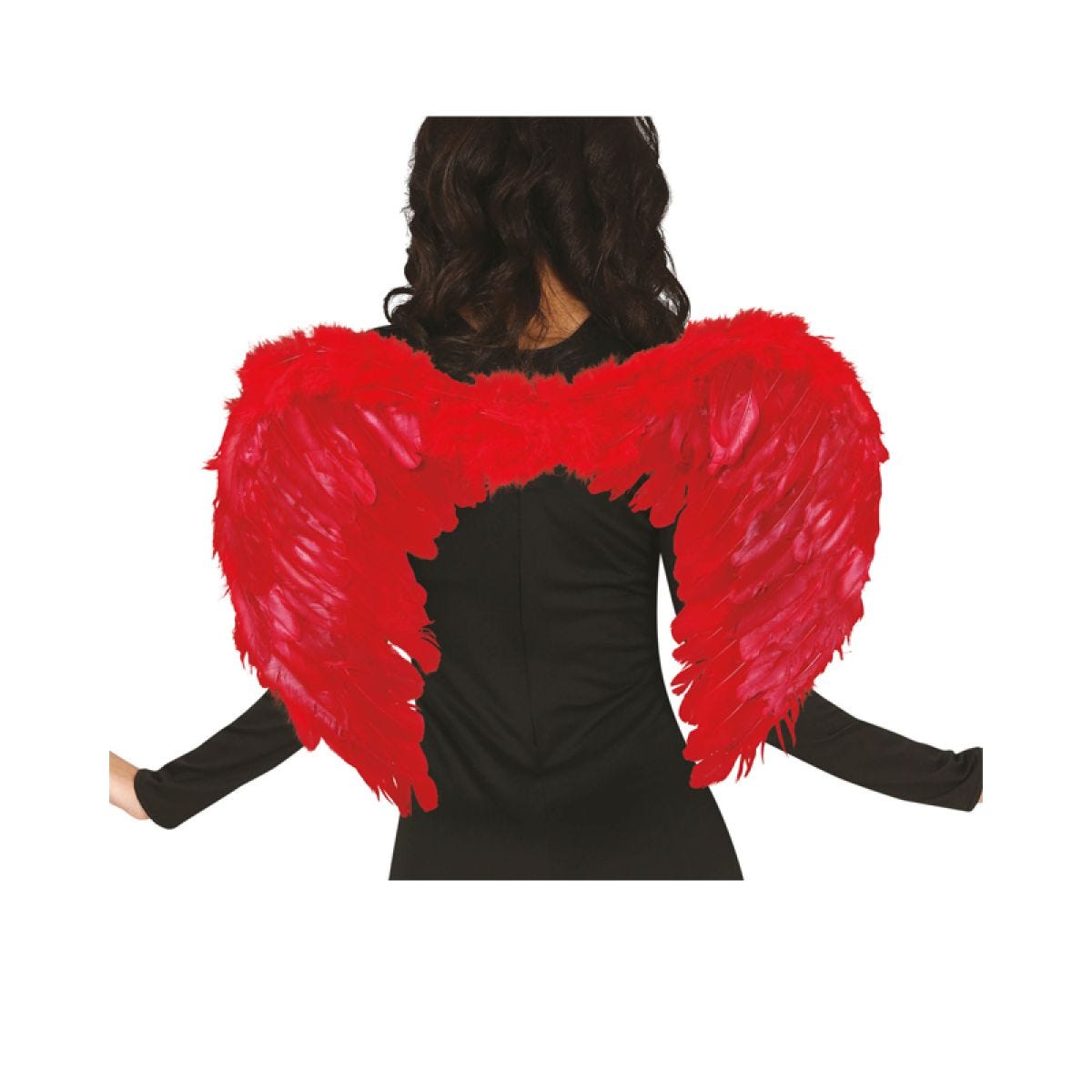 Red Angel Wings - 50 x 40cm