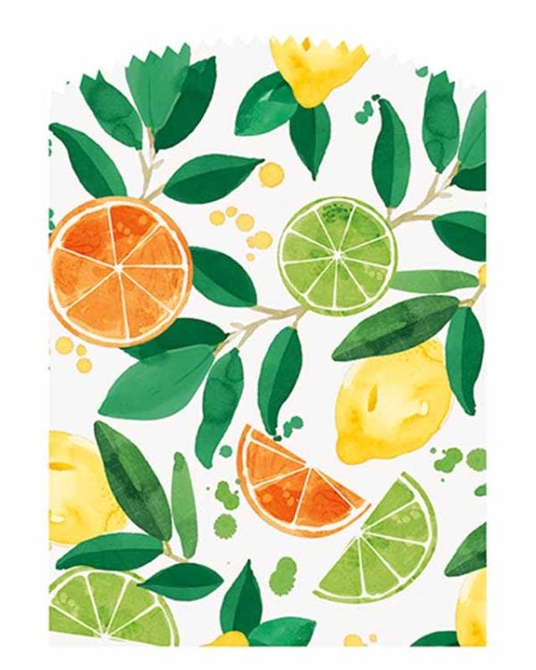 Citrus Fruit Paper Treat Bags with Stickers (6pk)