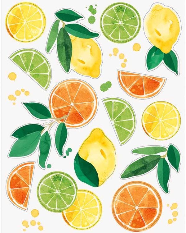 Citrus Fruit Window Cling Sheet