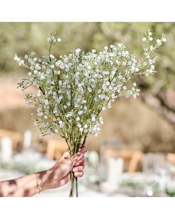 Gypsophilia Foliage Stems (5pk)