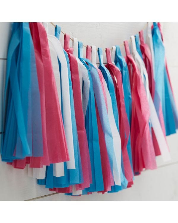 Gender Reveal Paper Tassel Garland - 2.5m