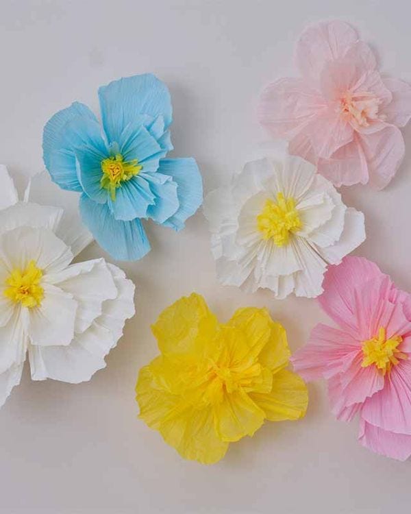 Tissue Paper Flowers (6pk)