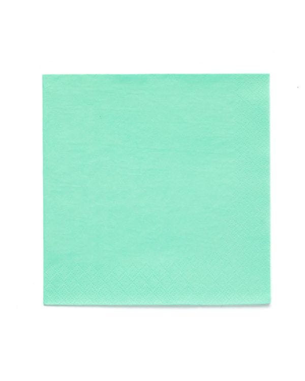 Mint Green Paper Napkins 3ply - 33cm (20pk)