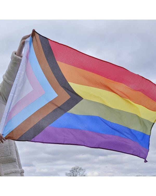 Pride Progress Fabric Flag - 1.5m x 90cm