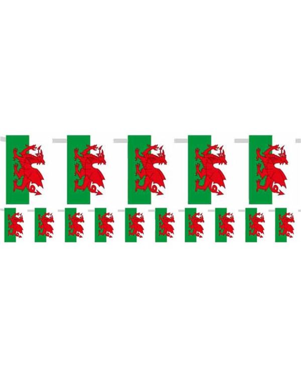 Welsh Plastic Flag Bunting - 5m