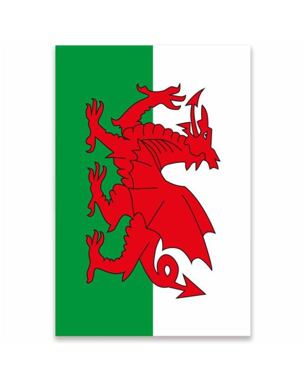 Welsh Fabric Flag - 150cm x 90cm