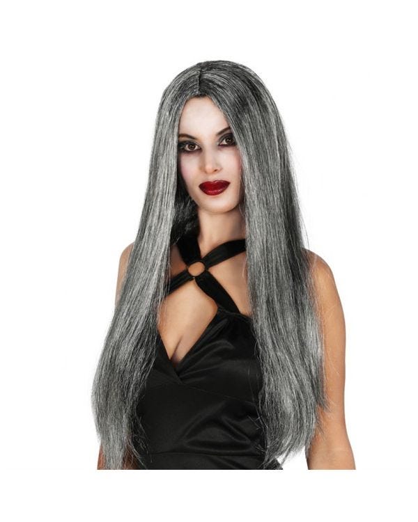 Long Grey Wig