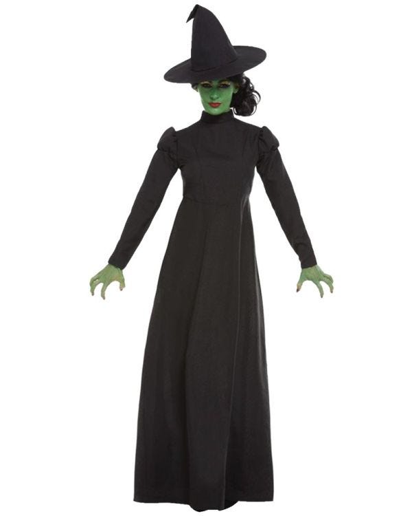 Wicked Witch - Adult Costume