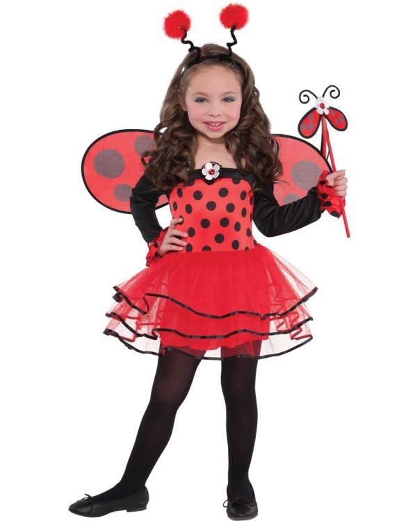 Ballerina Ladybug - Child Costume