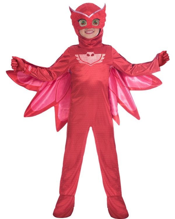 PJ Masks Costumes | Kids Costumes | Party Delights