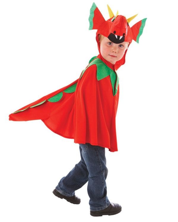 Friendly Dragon - Child Costume