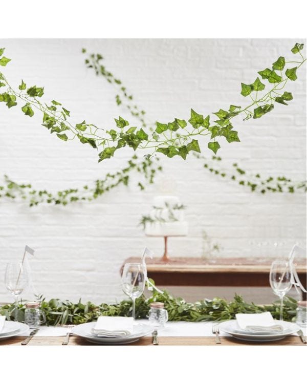 Beautiful Botanics Decorative Vines - 2m (5pk)