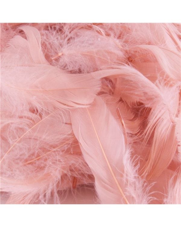 Rose Gold Decorative Feathers (50g pack)