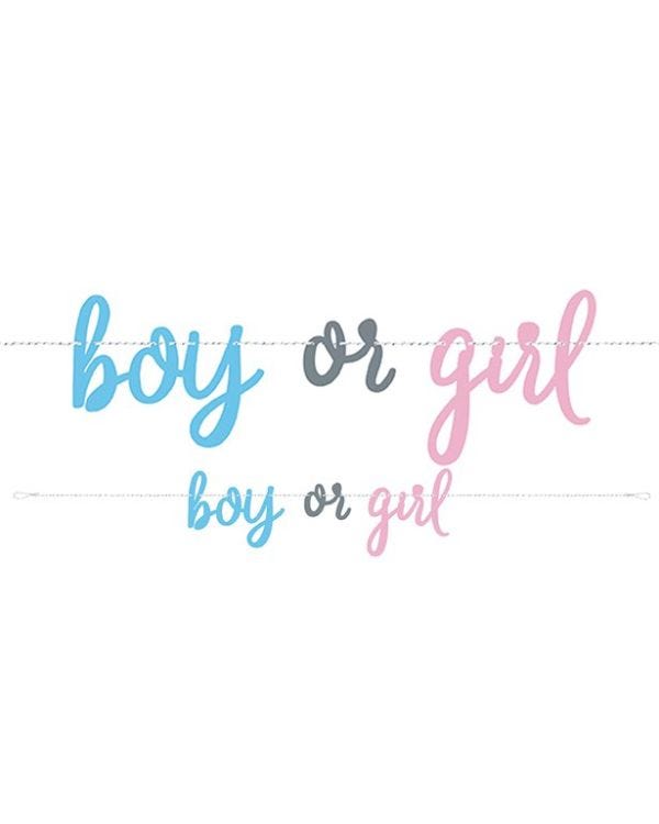 Gender Reveal Boy or Girl Paper Banner - 2.13m