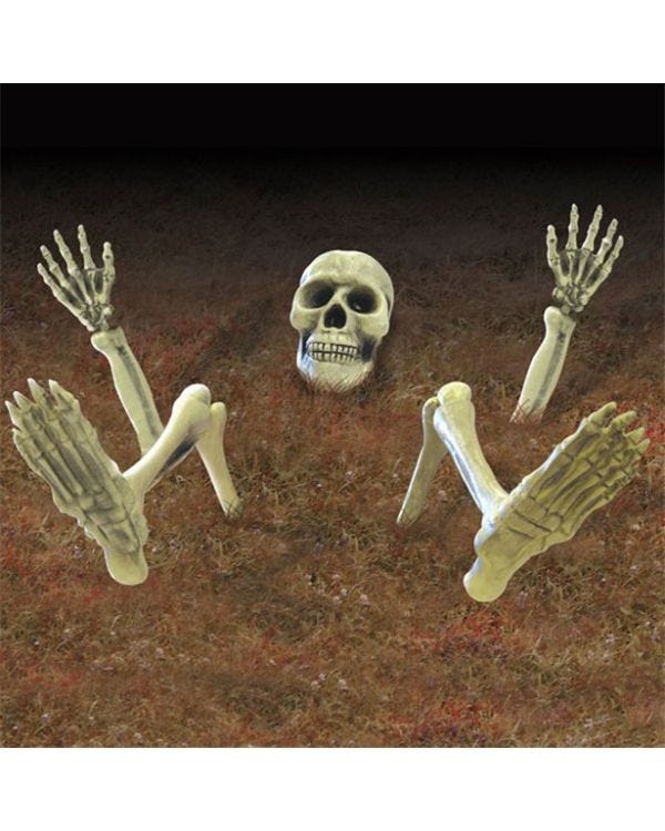 3D Skeleton Groundbreaker