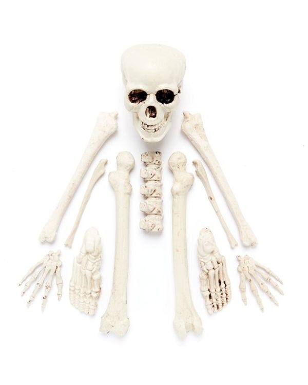 Complete Bag of Skeleton Bones