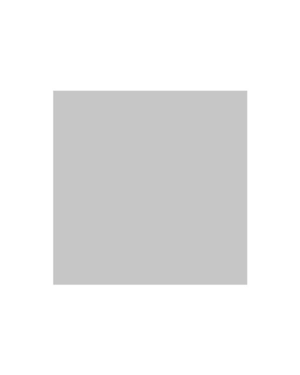 Ritrama Matt Vinyl Silver - 305mm x 5m