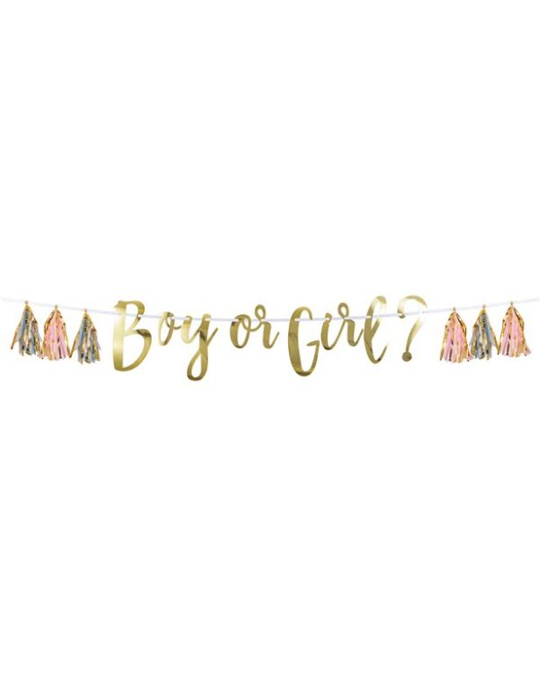 Boy Or Girl Banner with Tassels - 1.5m