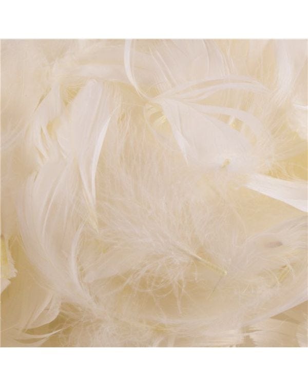 Ivory Decorative Feathers - 50g