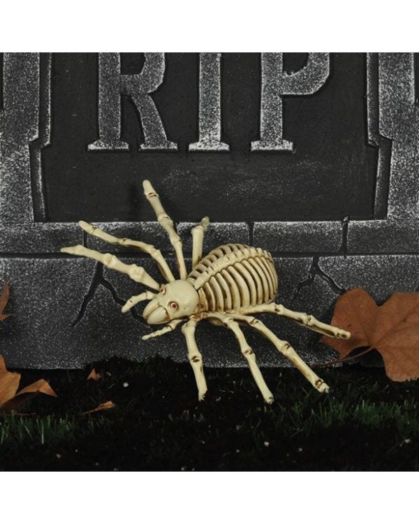 Spider Skeleton - 24cm