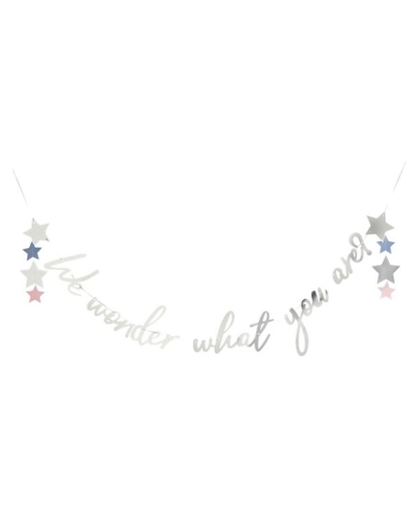 We Wonder What You Are Letter Banner - 2m