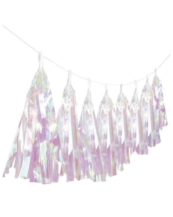 Iridescent Tassel Garland - 6m