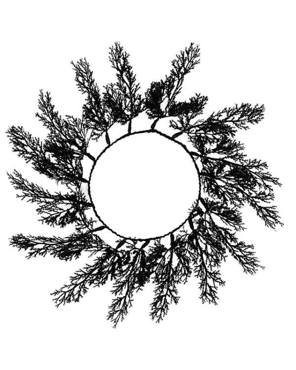 Black Foliage Placemats (4pk)